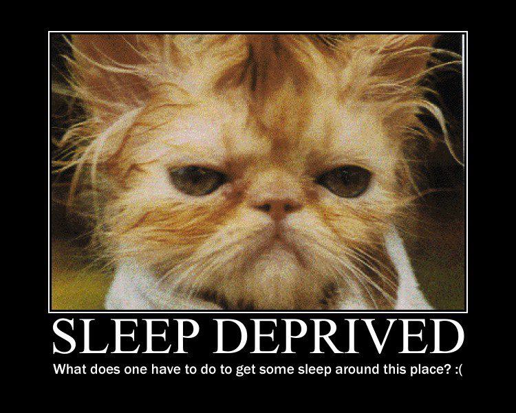 Funny-Sleep-21.jpg